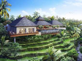 BALI-Breeze