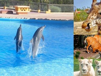 Sousse & Friguia & Zaghouan & Hergla