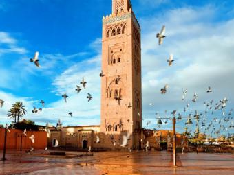 Voyage organisé Agadir -Marrakech - Casa